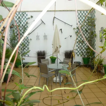 Apartment Aparment In Historical & Commercial Center 5minutes Walking To The Alcazar *